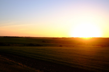 Sunset above field.