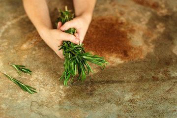 Fresh rosemary herb on the background. Top view rosemary. food background
