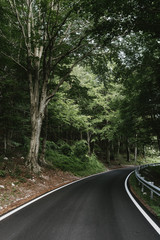 Fototapeta premium landscapes and naturalistic details