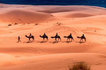 Camel ride through the desert © cineuno