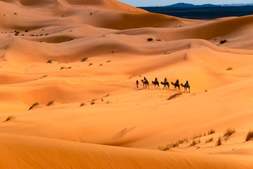 Fototapeta na wymiar Camel ride through the desert