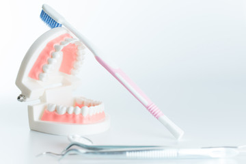 Dental model with dental equipment in oral health concept.