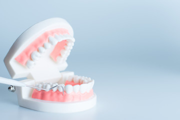 Dental model with dental equipment in oral health concept.