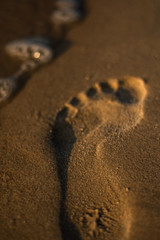 Foot print in the sand in the  warm sunset sun
