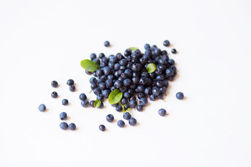 Lots of delicious freshly picked blueberries with green leaves