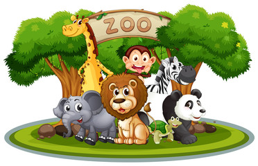 Cute animals in the zoo - obrazy, fototapety, plakaty