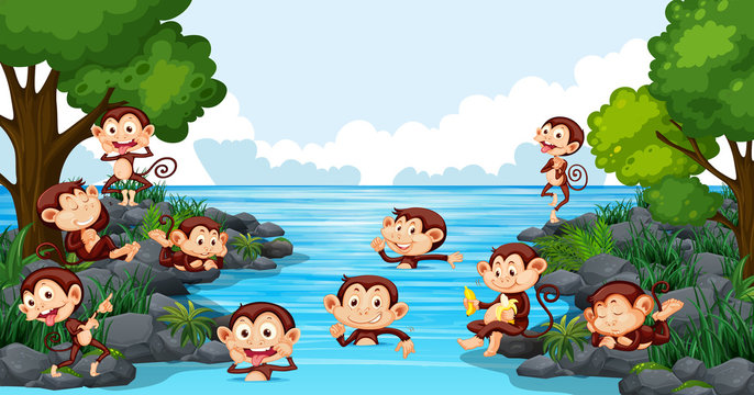Monkey playing in the lake