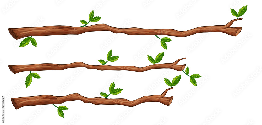 Wall mural a set of tree branch
