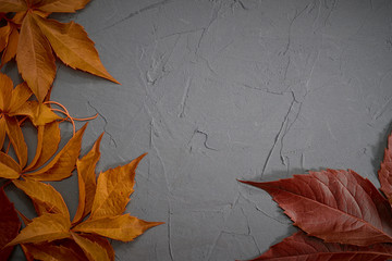 Autumn leaves frame on black plaster background