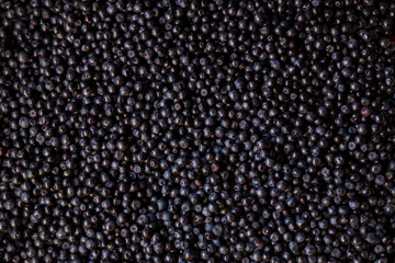 Fresh blueberry background. Texture blueberry berries top view