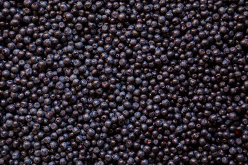 Fresh blueberry texture, top view