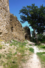 Ruins of Jasenov Castle, Slovakia