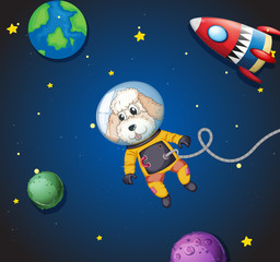 A poodle in space
