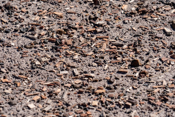 Petrified Forest National Park in Arizona in the Four Corners area