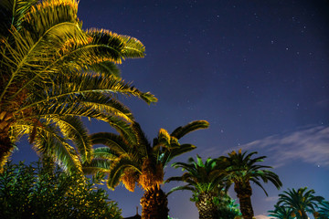 Night sky with stars
