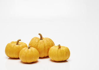 Orange halloween pumpkin white