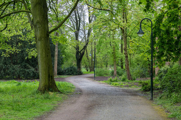 Obraz premium Walk in park