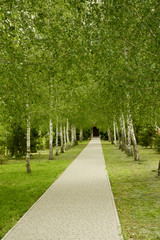 path in the park