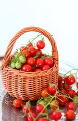 Fototapeta na wymiar basket with red and green cherry tomatoes