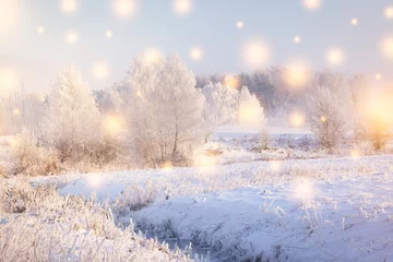 Foto op Plexiglas anti-reflex Winter Winterlandschap. Kerstvakantie achtergrond met kleur sneeuwvlokken. Magische winter. Zonneschijn op besneeuwde bomen en planten met rijp