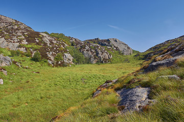blauer Himmel und grüne Wiese in den Bergen