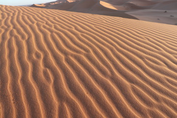 Fototapeta premium sahara desert,Merzouga,sand, wave