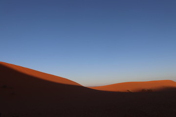 Fototapeta na wymiar sahara desert,Merzouga,Camel,サハラ砂漠,モロッコ,朝焼け