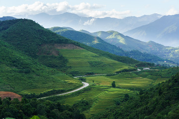 Obraz premium Terraced rice field in harvest season in Mu Cang Chai, Vietnam.