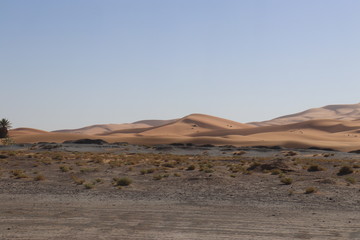 sahara desert,Merzouga,Camel,サハラ砂漠,モロッコ