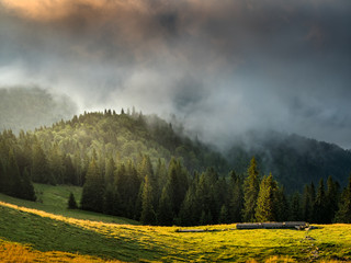 Dramatic mist in forest at sunrise. Morning sunshine with sun rays worming the earth, space for text, moody landscape