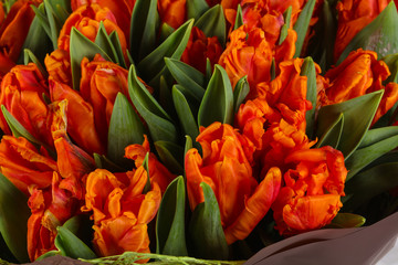Orange tulips bouquet