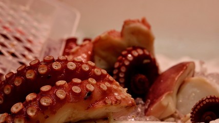 Tintenfisch, Calamari auf Markt in Japan © Omm-on-tour