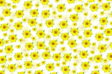 yellow sun flower texture background for peace meditation spa health freedom nature concept background