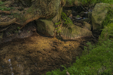Small creek Slatinny in Krusne hory mountains