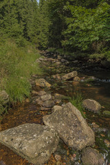 Fototapeta na wymiar Small creek Slatinny in Krusne hory mountains