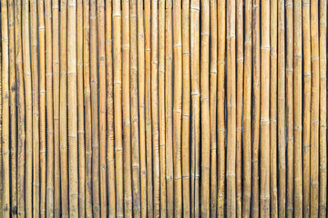 close up group of yellow brown bamboo background texture