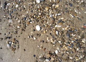 Wet colored stones lie on the beach