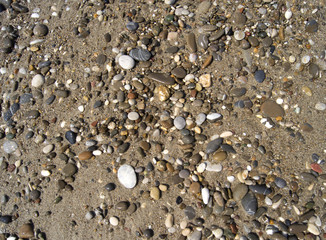 Wet colored stones lie on the beach