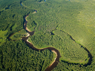 Aerial drone view, the bend of the river with sandy stretches of deep forest on a Sunny day.