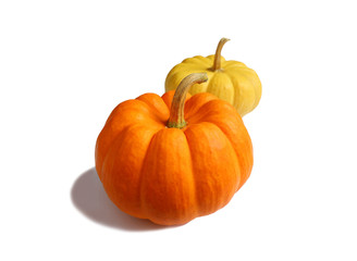 Vivid orange color and vibrant yellow ripe pumpkins with stem isolated on white background  