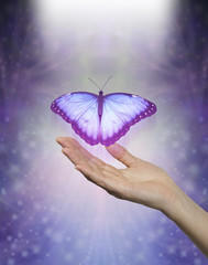 Spirit Release depicted by a lilac blue Butterfly taking flight - female hand with open palm and a...
