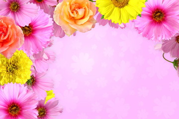 pink flower texture background for peace meditation spa health freedom nature concept background