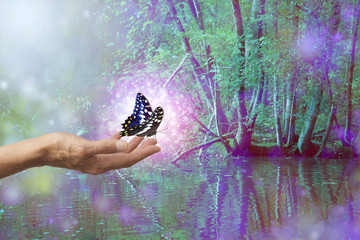 Magical Sparkling Butterfly Release - female hand with a pink glowing butterfly surrounded by...