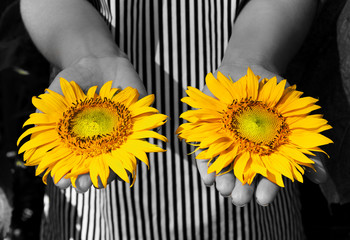 The girl holds sunflowers in hand.