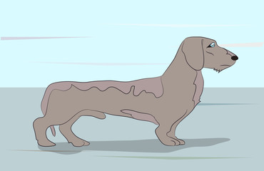 dog vector in the room