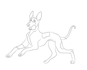 dog running, lines, vector