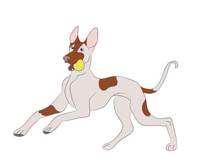 dog running, color, vector