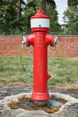 Fototapeta na wymiar German red fire hydrant in a park with two hose connectors and DIN 80 written on it.