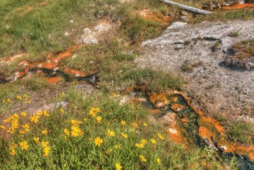 Yellowstone is a Popular National Park in Montana, Wyoming, and Idaho