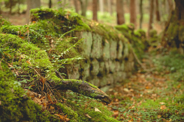 Alte Steinmauer